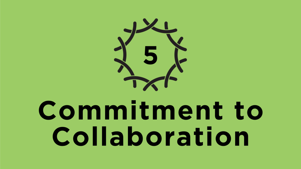 values-of-the-nest-support-project-nyu-steinhardt